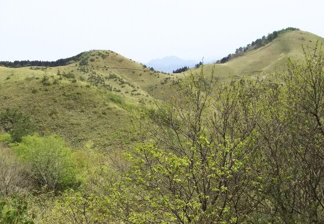 牧歌的な草原の山。展望良好、気楽に登れる。