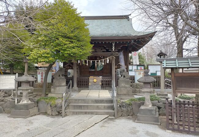 落ち着いた雰囲気の境内