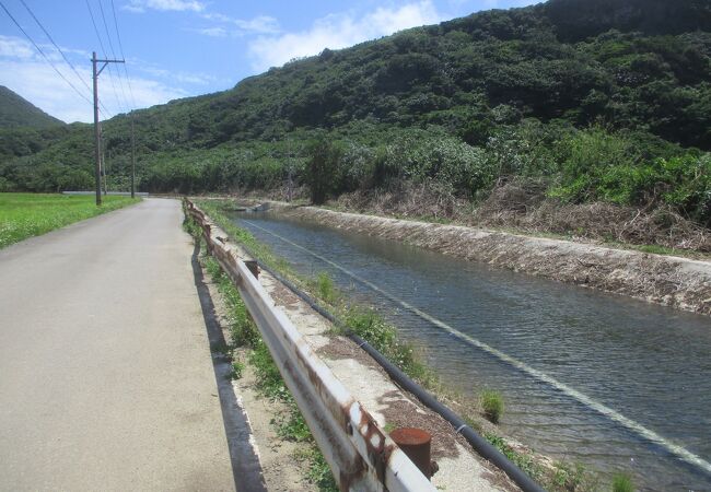 田原川湿地帯