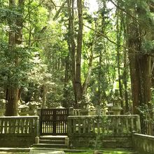 森の中にある毛利元就の墓。