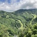 信州 志賀高原から始まる市川團十郎「いのちを守る森づくり」ABMORI