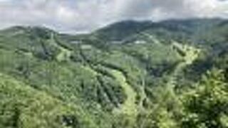 信州 志賀高原から始まる市川海老蔵「いのちを守る森づくり」ABMORI