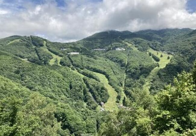 木を植えて森を守る会だそうです