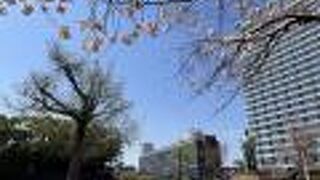 和気清麻呂像といちょうの樹