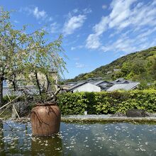 景色も味も良い