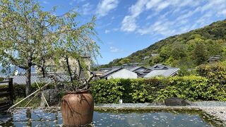 景色も接客も味も良い