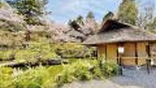 趣ある日本庭園