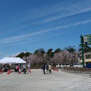 弘前公園沿い、青森銀行資料館の目の前の広場です