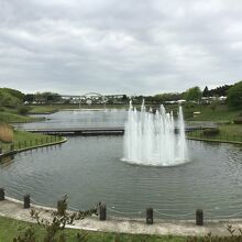 西門からの噴水広場前。