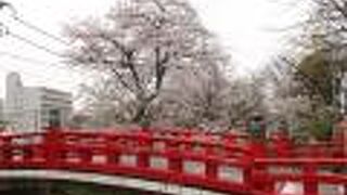手前の唐沢川は桜の名所