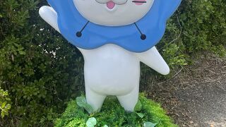 ネモフィラ祭り 