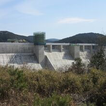 試験湛水と並行してダム天端の工事も実施中