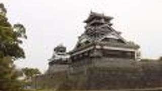 熊本城がよく見えました