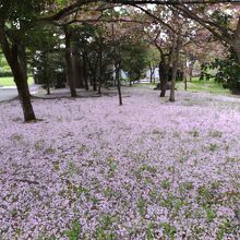 鬼怒川公園