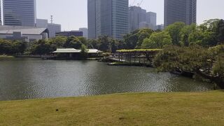 浜離宮恩賜庭園