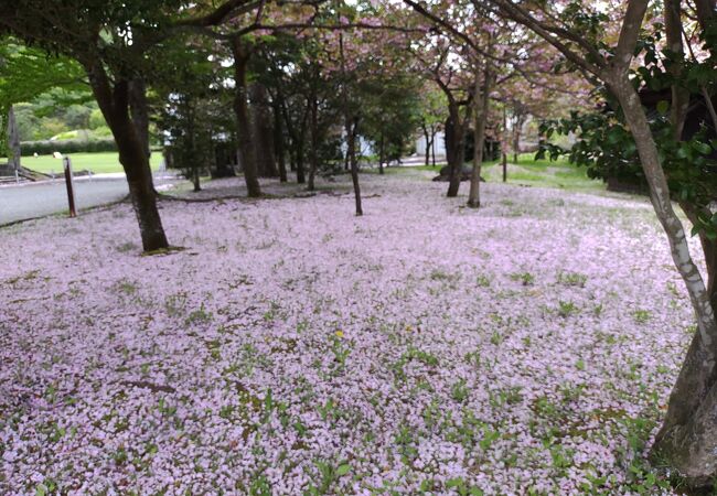 鬼怒川公園