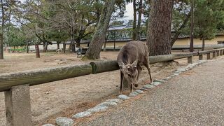 広大な敷地