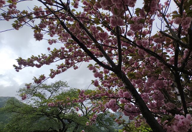 鬼怒川レジャー公園