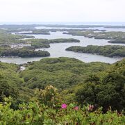 遊歩道が網目のように整備された横山の森