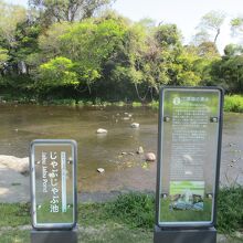 熊本で最大の湧水地と紹介されている