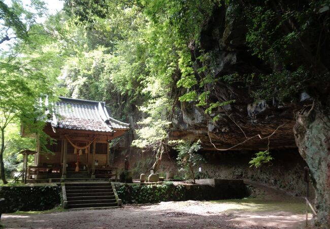 八女の語源となった歴史のある神社、自然の力を感じます。