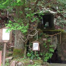 店舗の裏手にある天神湧水。こちらも人気スポット。