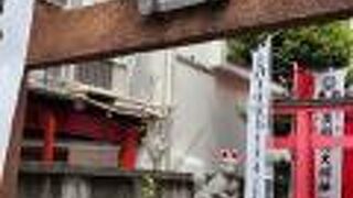 可愛い子狐さまも