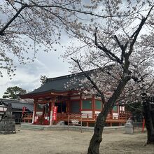 神社の本殿