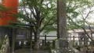 明るい観光地の異空間エリア