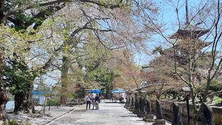 桜の時期は500円かかります。桜吹雪がとても美しかったです