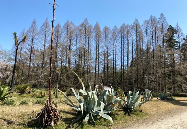 広くてとっても良い植物園