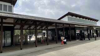 初のネモフィラに感動！