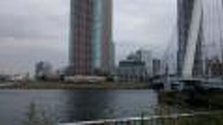 満開のソメイヨシノと高層タワーマンションのコントラストが絶妙でした。