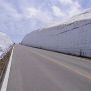 雪の回廊