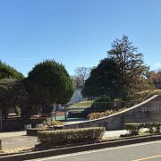 福岡城址一帯が公園になっています。