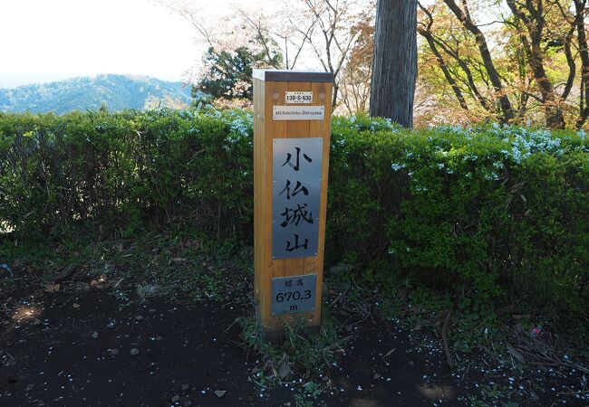 春は花も多く桜と富士山の競演が楽しめます