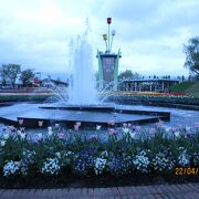 一日楽しめるチューリップ溢れる美しい公園。