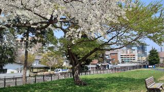 赤レンガ倉庫美術館のある広場