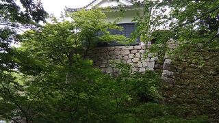 展示資料が充実しています