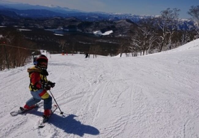 新雪がふったばかりで良い雪の日でした