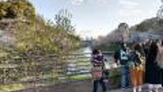 新型コロナウイルス蔓延中でしたが、桜好きの日本人が我慢できるはずがないですね