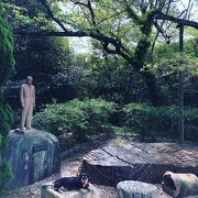 入園無料です