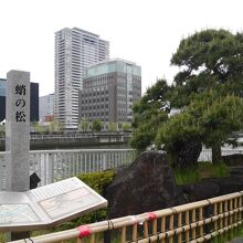 松と、蛸の松説明パネルと。