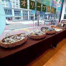 香川県のオリーブイベント