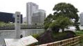 枝ぶりからついた名前。