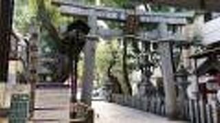 大寺さんとも呼ばれる！