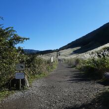 すすき野原入り口。