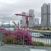 アーバンドック ららぽーと 豊洲クレーン