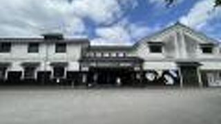 生きてる魚のいない水族館！