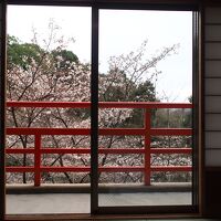 桜がよく見える